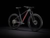 Trek Roscoe 6 XS Lithium Grey/Cobra Blood