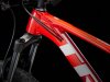 Trek Procaliber 6 L Viper Red/Crimson